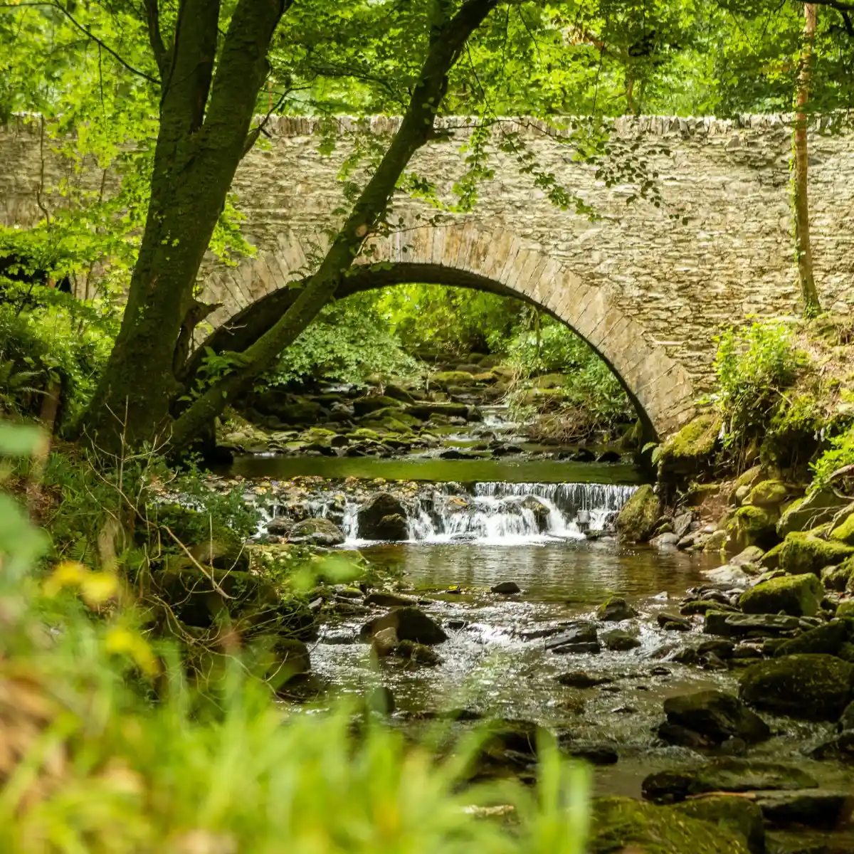 An old stone bridge arching over a mossy stream and small waterfall in Killarney National Park